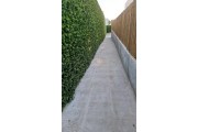 small thumb
